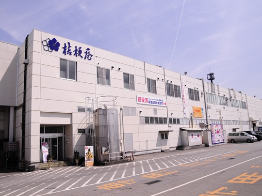 Kikyo Shingen mochi factory theme park