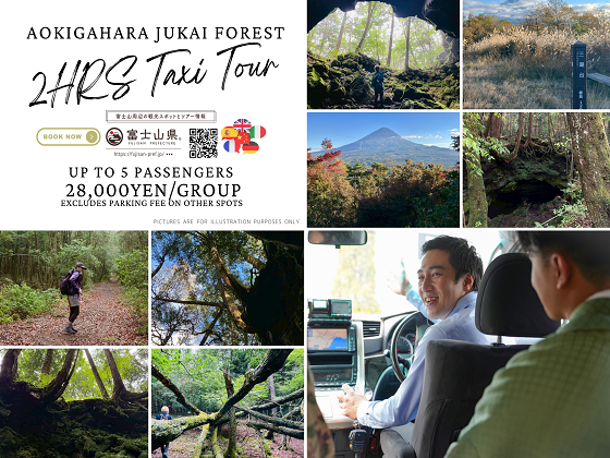 Tourist Taxi Service