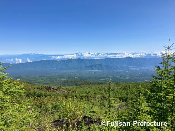 Tourist Taxi Service