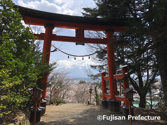 Tourist Taxi Service