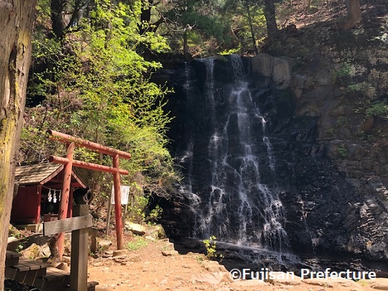 Tourist Taxi Service