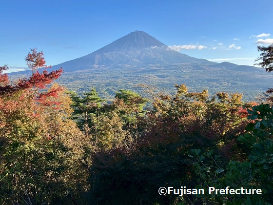 Tourist Taxi Service